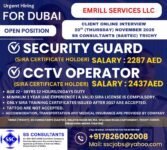 Emrill Dubai Jobs: Security Guard & CCTV Operator Interview on Nov 20