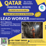 LEAD WORKER [PERMIT RECEIVER]