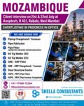 Mozambique Job Vacancy – Client Interview at Shella Consultants