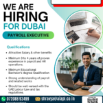 Aryaa International is looking for an experienced Payroll Executive to join our team in Dubai.