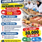Turkey Job Vacancy – Packaging Worker Jobs at Omega International