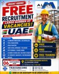 UAE Job Vacancy – Free Recruitment at Alico