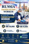 Russia Chicken Factory Worker Jobs - Omega International