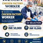 Russia Chicken Factory Worker Jobs – Omega International
