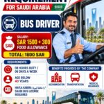 Required Bus Driver for Saudi Arabia :  Hafla Kabira (حافلة كبيرة)