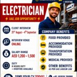 UAE Electrician – Client Interview